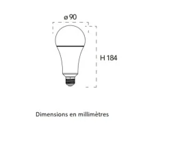 Ampoule LED, E27, Standard, blanc, 3000K, 3452 lm, Ø9cm, H18,4cm - Nedgis