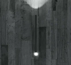 Applique*Flos Applique d'extérieur, Flauta riga 2, , IP65, LED, dim, 2700K, 694 lm, Ø4,5cm, H50cm - anthracite