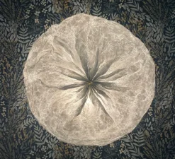 Applique murale, Jade S, blanc, Ø22cm, H10cm - And Creation