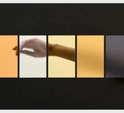 Applique*Sammode Applique murale, MUSSET GR COAL, 2700K, pétrole, LED, L52cm, H10cm - noir