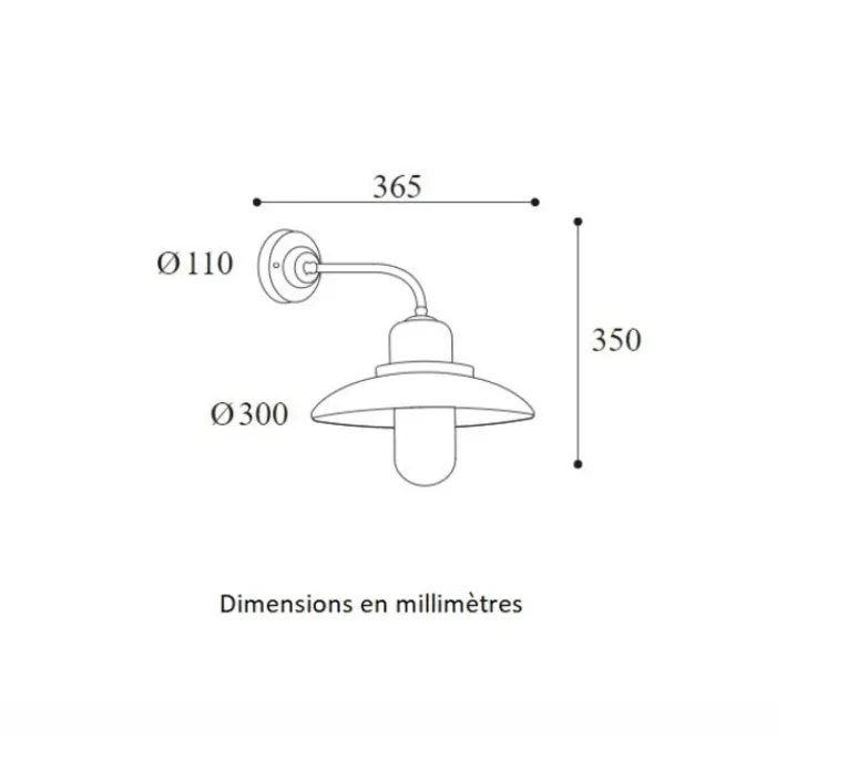 Applique*Moretti Luce Applique murale, Patio 1353, , verre transparent, IP44, L36,5cm, H35cm - Cuivre laiton vieilli