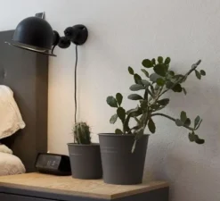 Applique*Jieldé Applique murale, Signal, SI300, , L28cm, H10cm - noir mat