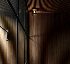 Applique|Plafonnier & Spot*Buster & Punch Applique ou plafonnier, Caged wet, petit, , IP44, L16,9cm, H17,3cm - laiton