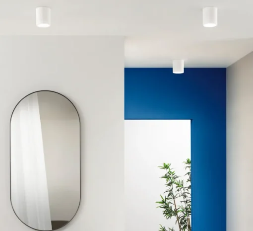 Plafonnier & Spot|Applique*Nedgis Applique ou plafonnier, Catherine R1, , Ø13cm, H11cm - blanc