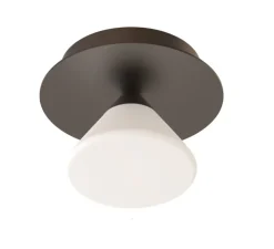 Plafonnier & Spot|Applique*Tooy Applique ou plafonnier, Linfa 565.41, , IP40, LED, dim, 2700K, 350 lm, Ø12cm, H13cm - titanium