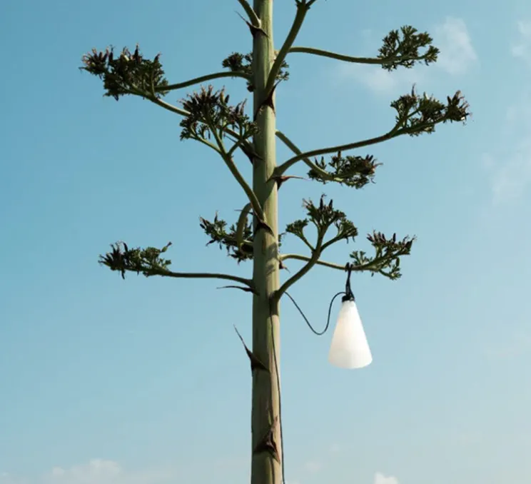 Baladeuse, d'extérieur, Mayday, noir, IP65, Ø22cm, H53cm - Flos