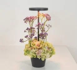 Lampe*Zafferano Baladeuse, Poldina Reverso, , IP54, LED, dim, 2200-2700-3000K, 241-250-262 lm, Ø11cm, H35cm - Gris foncé