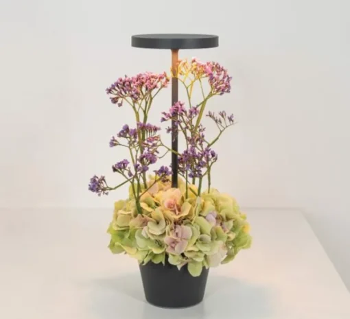 Lampe*Zafferano Baladeuse, Poldina Reverso, , IP54, LED, dim, 2200-2700-3000K, 241-250-262 lm, Ø11cm, H35cm - Gris foncé