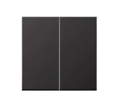 Enjoliveur, LS 990, Simple, Canon de fusil, Interrupteur x2, L7cm, H7cm - Jung