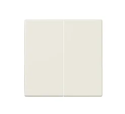 Enjoliveur, LS 990, Simple, Ivoire, Interrupteur x2, L7cm, H7cm - Jung