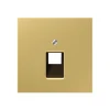Enjoliveur, LS 990, Simple, Laiton doré, Prise-RJ45 x1, L7cm, H7cm - Jung