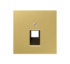 Enjoliveur, LS 990, Simple, Laiton doré, Prise-RJ45 x1, L7cm, H7cm - Jung