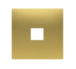 Prise*Font Barcelona Façade, 5.1, Bridge, Simple, Laiton doré brossé mat, Prise-USB x2, L9cm, H9cm -