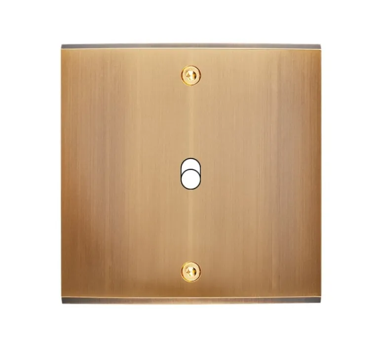 Interrupteur*Modelec Façade à vis, Confidence, Simple, Vieux bronze, Interrupteur x1, L8cm, H8cm -