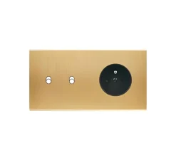 Façade, Confidence, Double horizontal, Laiton brossé, Interrupteur x2 et Prise-PC x1, L15cm, H8cm - Modelec