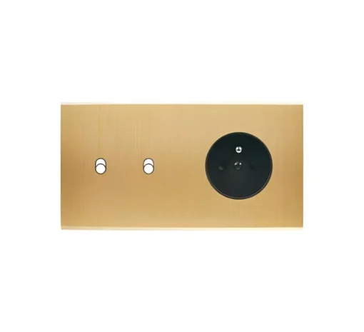 Façade, Confidence, Double horizontal, Laiton brossé, Interrupteur x2 et Prise-PC x1, L15cm, H8cm - Modelec