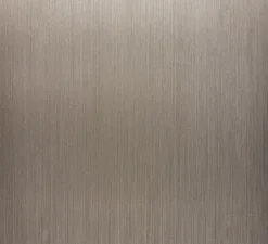 Interrupteur*Modelec Façade, Confidence, Double horizontal, Acier brossé, Interrupteur x2, L15,1cm, H8cm -