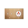 Interrupteur*Modelec Façade, Confidence, Double horizontal, Vieux bronze, Interrupteur x2, Prise-Schuko x1, À vis, L15,1cm, H8cm -
