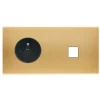 Façade, Confidence, Double horizontal, Laiton brossé, Prise-2P+T x1, Prise-RJ45 x1, L15,1cm, H8cm - Modelec