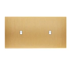 Façade, Confidence, Double horizontal, Laiton brossé, Interrupteur x1, Interrupteur x1, L15,1cm, H8cm - Modelec