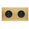 Prise*Modelec Façade, Confidence, Double horizontal, Laiton brossé, Prise-PC x2, L15,1cm, H8cm -