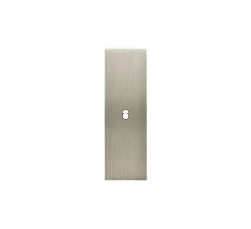 Façade, Confidence, Etroit-long, Acier brossé, Interrupteur x1, L4cm, H12,5cm - Modelec