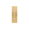 Façade, Confidence, Etroit-long, Laiton brossé, Interrupteur x3, L4cm, H12,5cm - Modelec