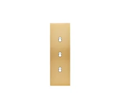 Façade, Confidence, Etroit-long, Laiton brossé, Interrupteur x3, L4cm, H12,5cm - Modelec