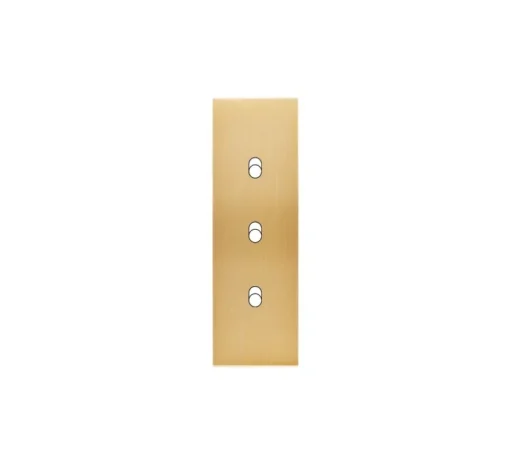 Façade, Confidence, Etroit-long, Laiton brossé, Interrupteur x3, L4cm, H12,5cm - Modelec
