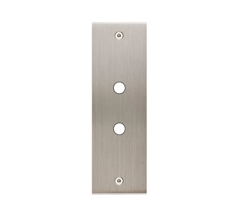 Interrupteur*Modelec Façade, Confidence, Etroit-long, Nickel satiné, Interrupteur x2, À vis, L4cm, H12,5cm -