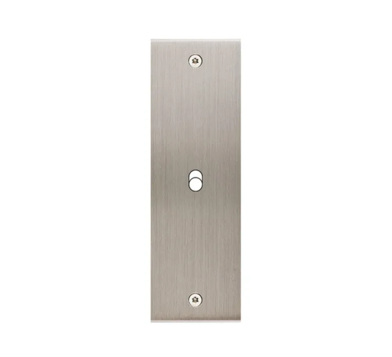Interrupteur*Modelec Façade, Confidence, Etroit-long, Nickel satiné, Interrupteur x1, À vis, L8cm, H12,6cm -