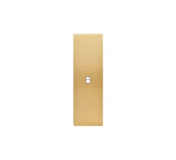 Interrupteur*Modelec Façade, Confidence, Etroit-long, Laiton brossé, Interrupteur x1, L4cm, H12,5cm -