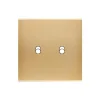 Interrupteur*Modelec Façade, Confidence, Simple, Laiton brossé, Interrupteur x2, L8cm, H8cm -