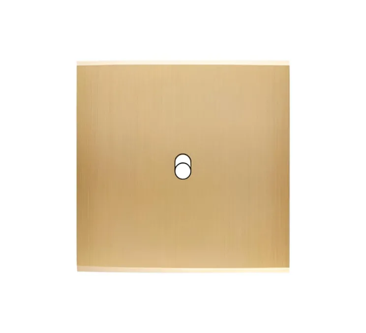 Façade, Confidence, Simple, Laiton brossé, Interrupteur x1, L8cm, H8cm - Modelec