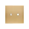Façade, Confidence, Simple, Laiton brossé, Interrupteur x2, Levier et push, L8cm, H8cm - Modelec