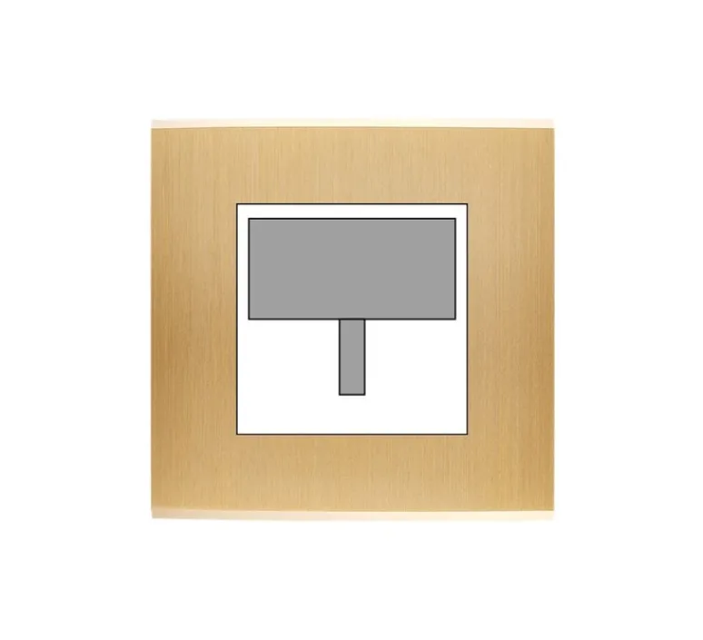 Accessoires*Modelec Façade, Confidence, Simple, Laiton brossé, Détecteur de présence x1, L8cm, H8cm -