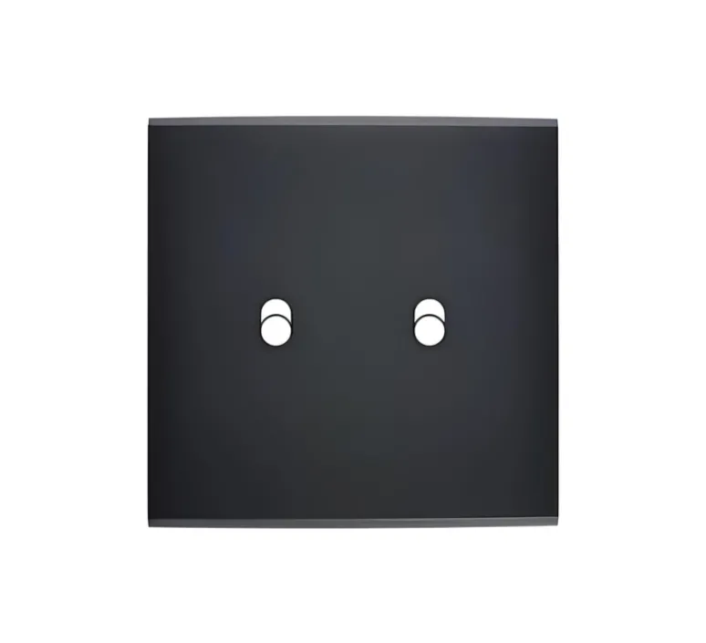 Interrupteur*Modelec Façade, Confidence, Simple, Noir, Interrupteur x2, L8cm, H8cm -