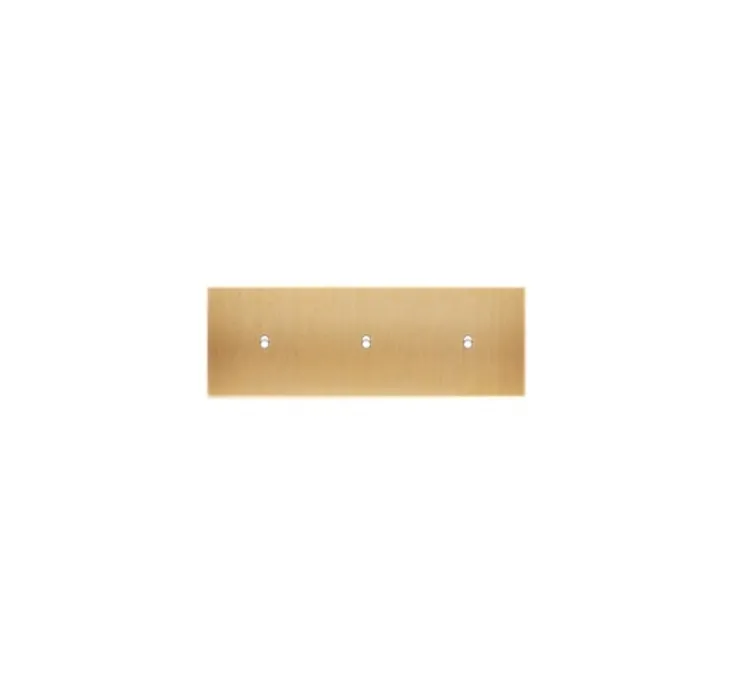 Façade, Confidence, Triple horizontal, Laiton brossé, Interrupteur x3, L22,2cm, H8cm - Modelec