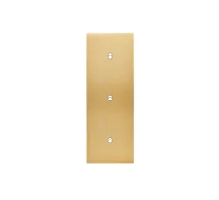 Façade, Confidence, Triple vertical, Laiton brossé, Interrupteur x3, L8cm, H22,2cm - Modelec