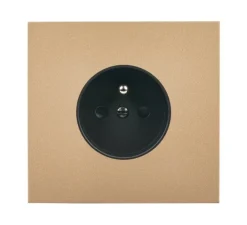 Prise*Modelec Façade, Désir, Simple, Doré mat, Prise-2P+T x1, L8cm, H8cm -
