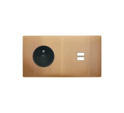 Prise*Modelec Façade, M, Double horizontal, Vieux bronze, Prise-2P+T x1, Prise-USB A/C x1, L15,1cm, H8cm -