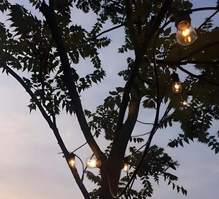 Guirlande lumineuse extérieure, light.o.002, noir, IP44, L1000cm, Hcm - Zangra