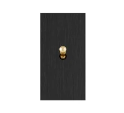 Interrupteur, Allure, Etroit, Noir brossé, Simple-allumage x1, Laiton, L4cm, H8cm - 6ixtes