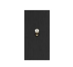 Interrupteur, Allure, Etroit, Noir brossé, Simple-allumage x1, Nickel, L4cm, H8cm - 6ixtes