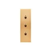 Interrupteur*Modelec Interrupteur, Confidence, Etroit-long, Laiton brossé, Poussoir x1, Poussoir x1, Va-et-vient x1, Laiton, L4cm, H12cm -