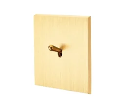 Interrupteur*Modelec Interrupteur, Confidence, Simple, Laiton brossé, Va-et-vient x1, L8cm, H8cm -