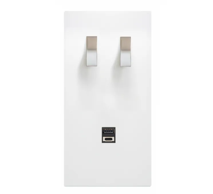 Interrupteur et Prise, Bridge, Double vertical, Blanc mat, Va-et-vient x2, Nickel, Prise-USB A/C x1, H16,1cm, L9cm - Font Barcelona
