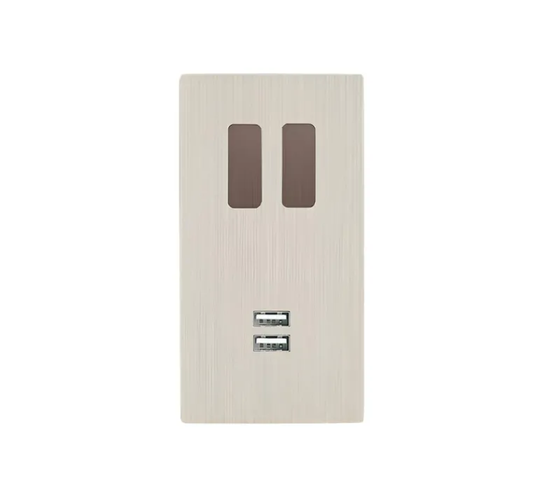Prise|Interrupteur*Modelec Interrupteur et Prise, M, Double vertical, Nickel brossé, Va-et-vient ou poussoir x2, Canon de fusil, Prise USB A/C x1, L8cm, H15,1cm -