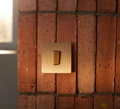 Interrupteur, M, Simple, Laiton brossé, Va-et-vient ou Poussoir x1, Laiton brossé, L8cm, H8cm - Modelec