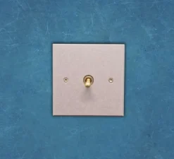 Interrupteur*6ixtes Interrupteur, Vertbois, Prêt à peindre, Simple, Gris clair, Simple allumage x1, Laiton, L8cm, H8cm - Nedgis